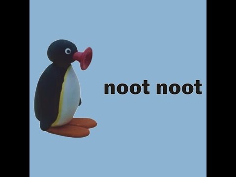 noot noot